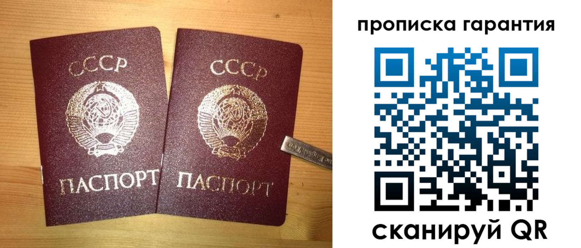 прописка паспорт в Оренбурге